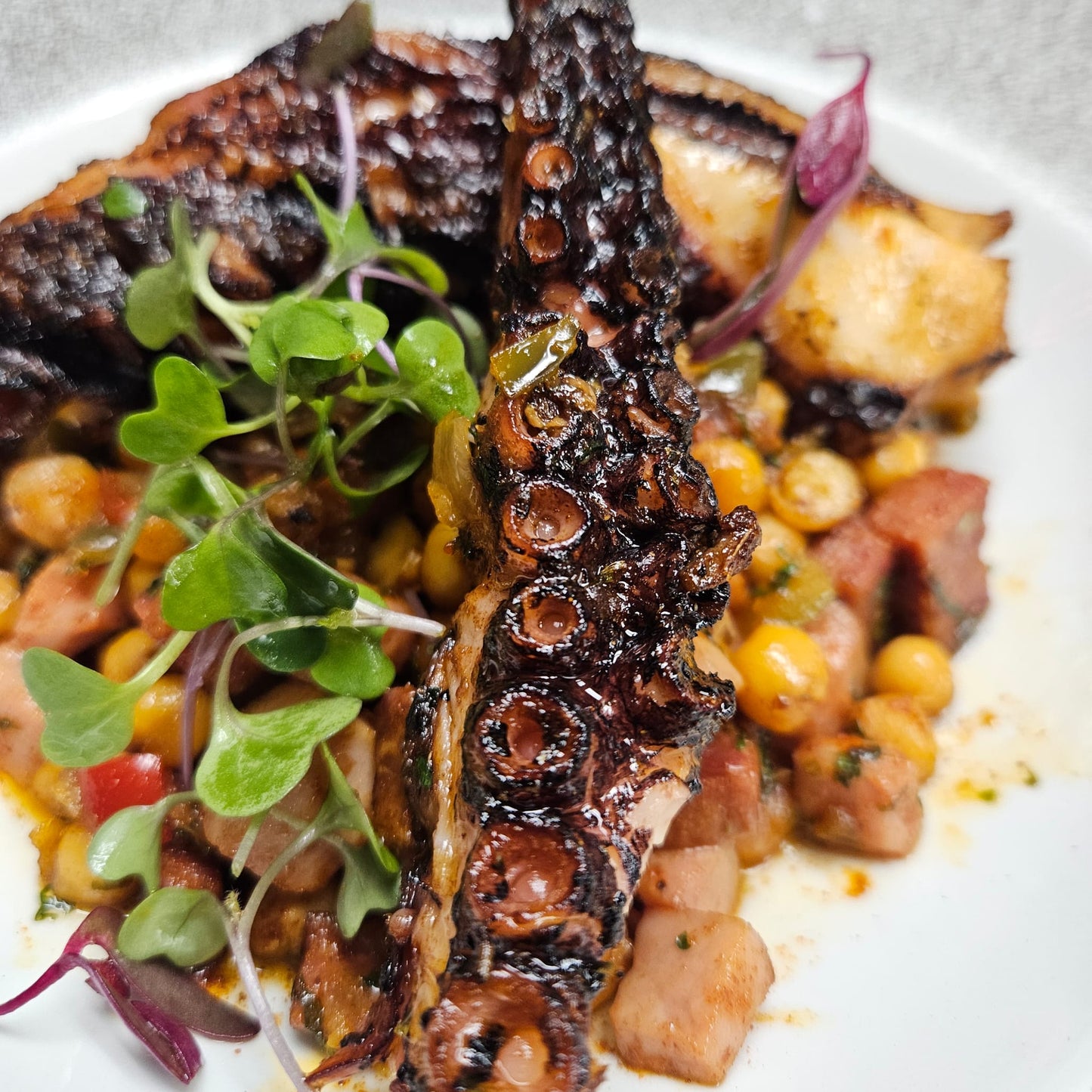 Grilled Octopus